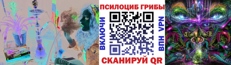 купить закладку Королёв Псилоцибиновые грибы Magic Shrooms