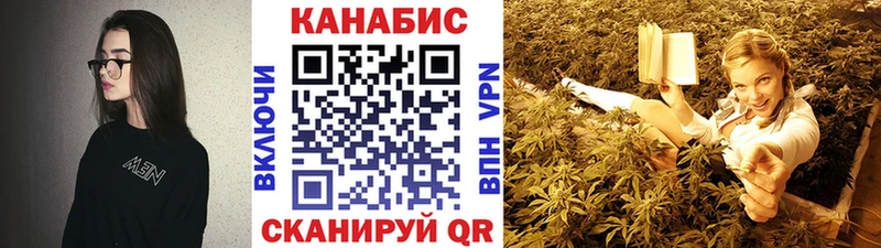 магазин продажи   Королёв  Канабис планчик 